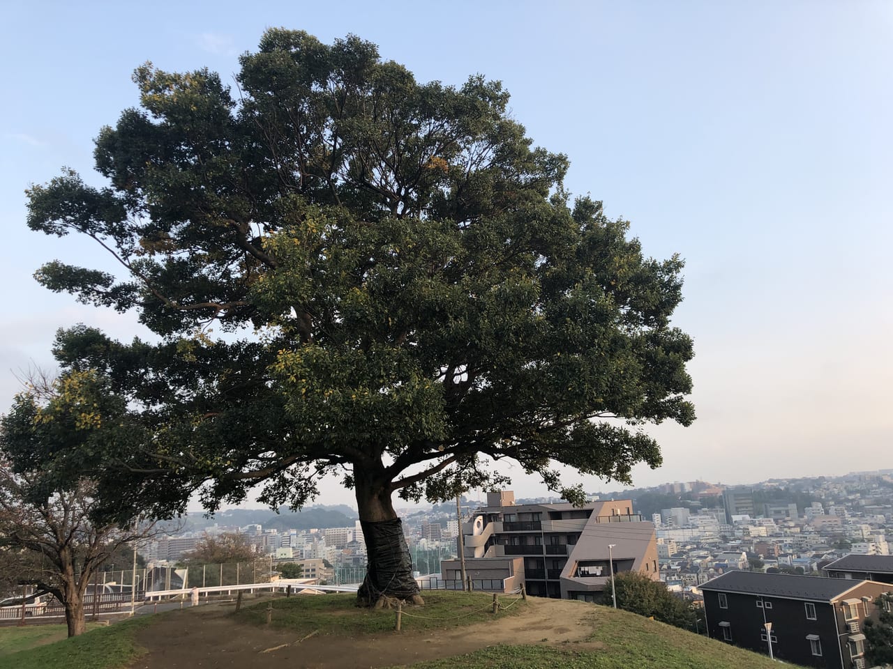 2020年11月清水ヶ丘公園