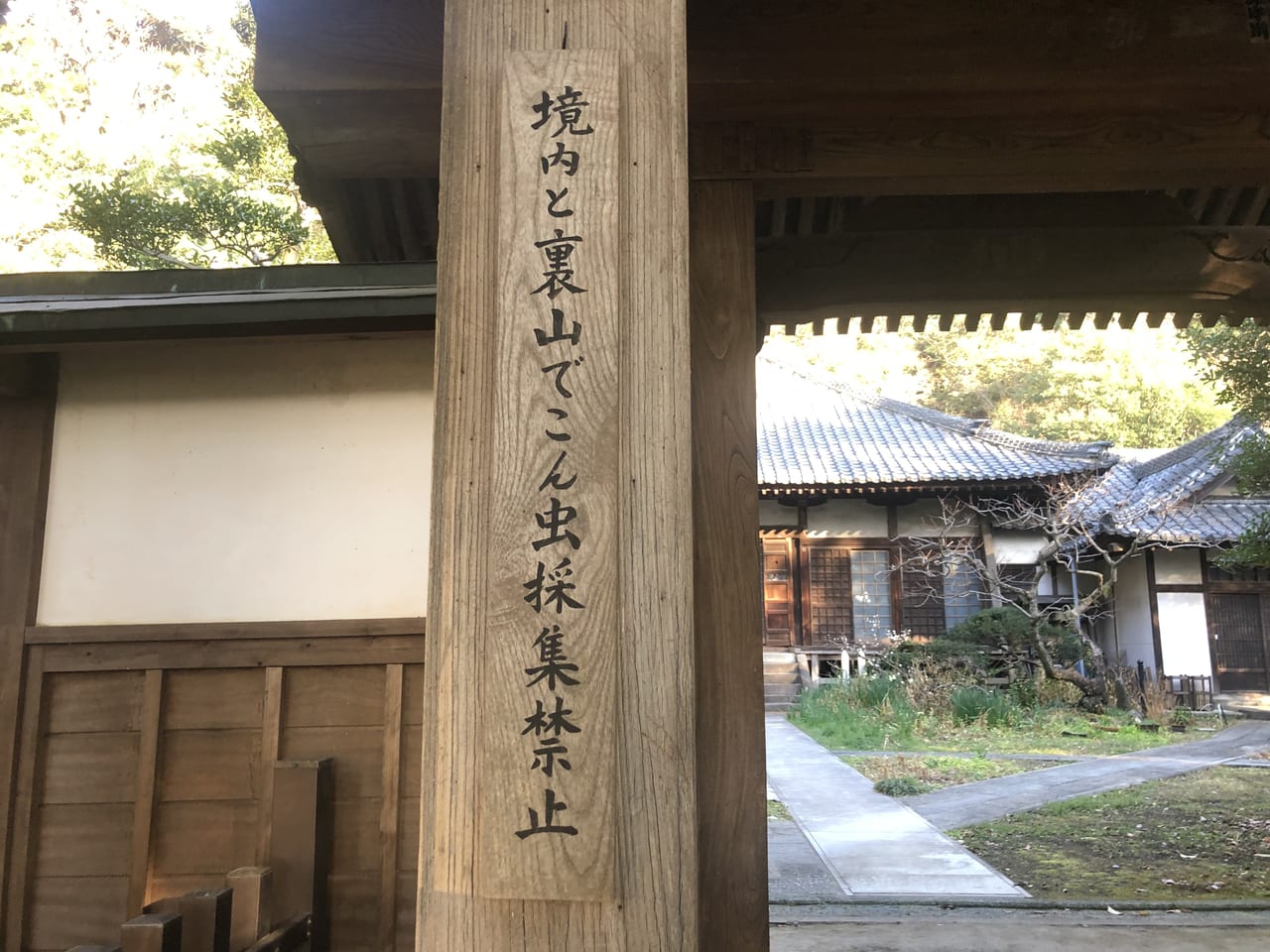 寶生寺3