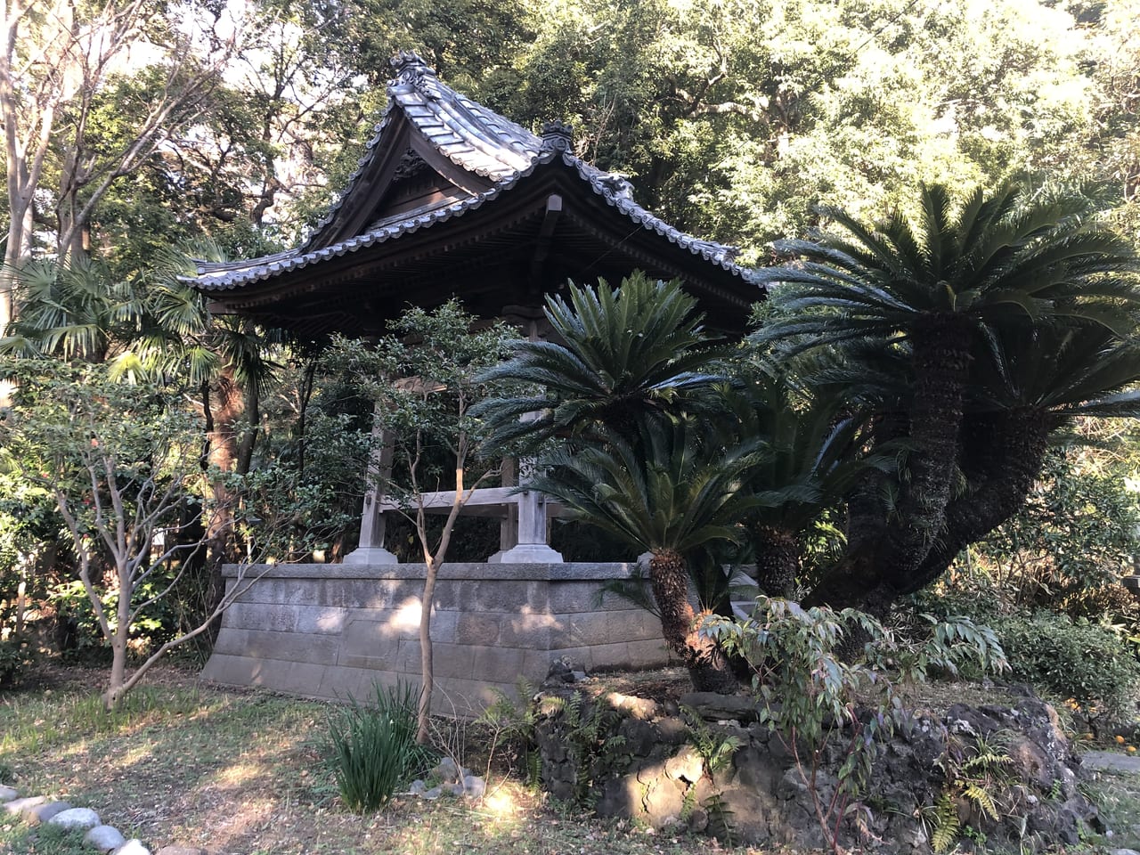 寶生寺6