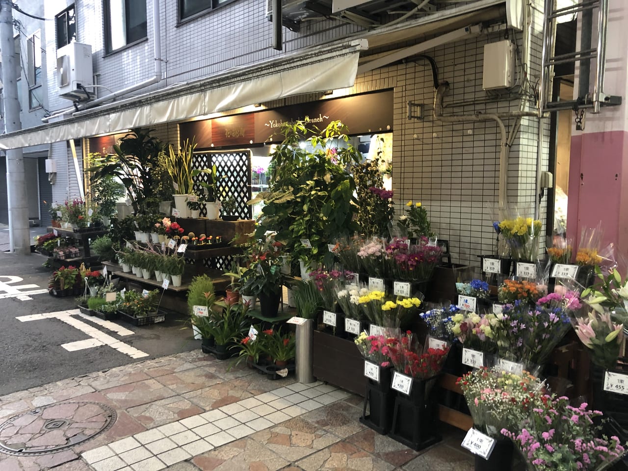 横浜市南区 Cocohana横浜橋店のあった場所に 新たな花屋さんが営業していました 号外net 横浜市南区