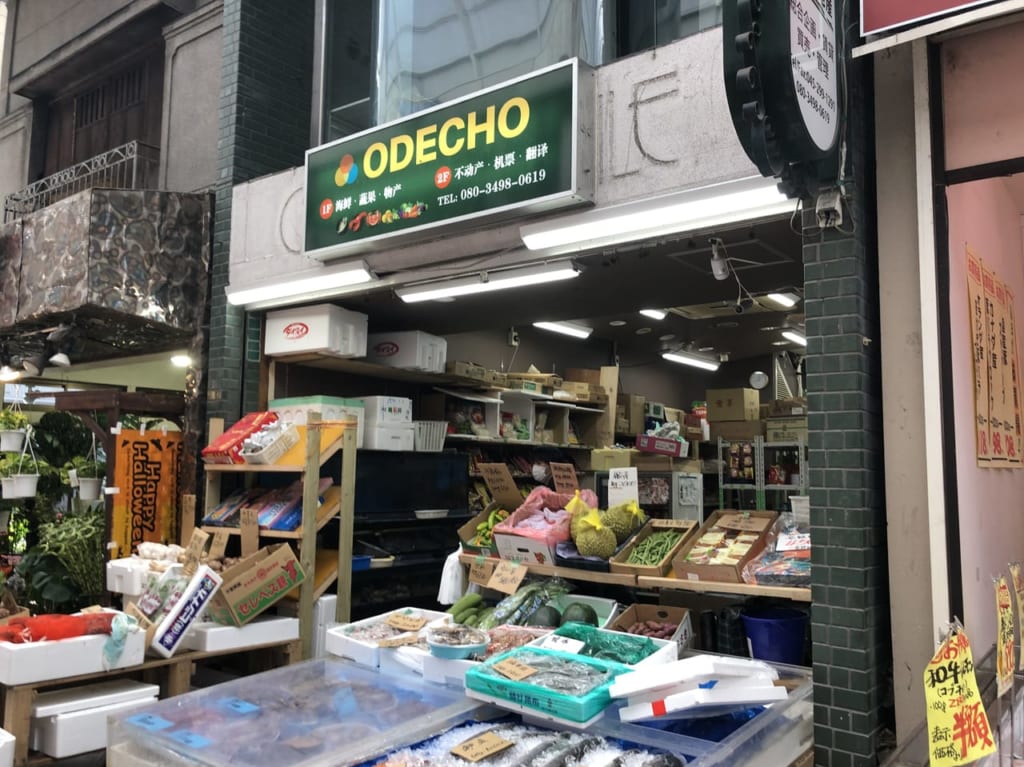 ODECHO3