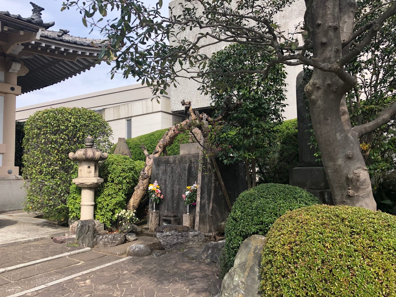 西教寺6